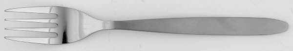 IKE2 (Stainless) Individual Salad Fork