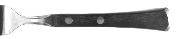 Woodhue (Stainless) Fork
