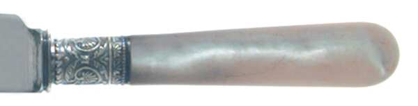 Pearl Handle Flatware 2 (Plated Bolster) by International Silver