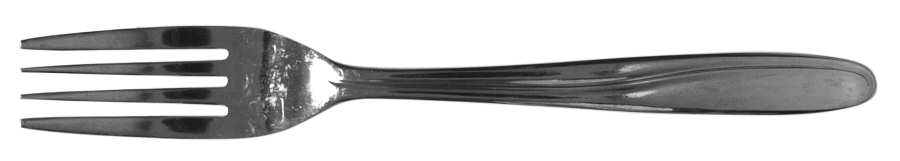 IXO2 (STAINLESS) Fork