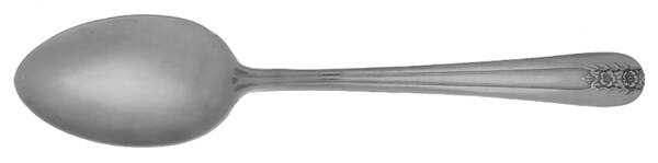 INS336 (STAINLESS) by International Silver