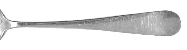 INS344 (Sterling) by International Silver