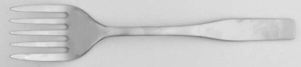 Citterio 98 (Stainless) Solid Salad Serving Fork