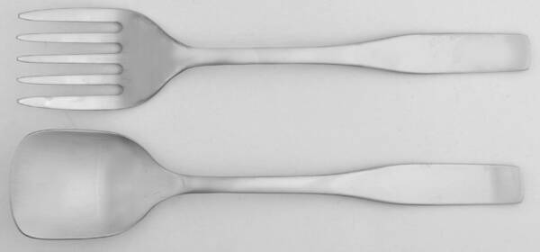 Citterio 98 (Stainless) (2 Pc) Solid Salad Set