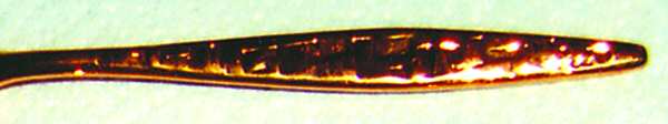 Cortez-Aztec (Gold Electroplate) by International Silver