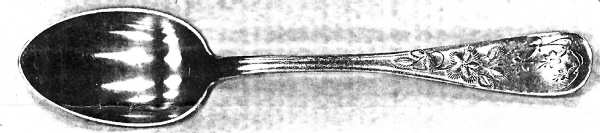 INS445 (Silverplate) Teaspoon