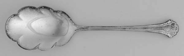 Berklery (Silverplate) Solid Smooth Casserole Spoon
