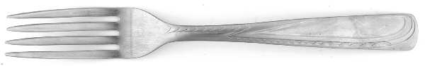 IMI100 (Stainless) Fork