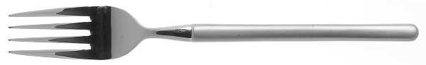 ICM5 (Stainless) Fork