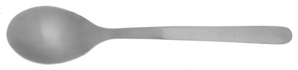 Data (Stainless) Sugar Spoon