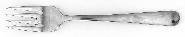INS500 (Stainless) Individual Salad Fork