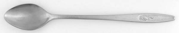 IMI109 (Stainless) Iced Tea Spoon