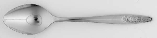 IMI109 (Stainless) Teaspoon