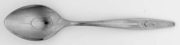 IMI109 (Stainless) Tablespoon (Serving Spoon)