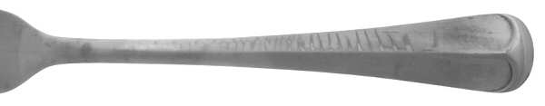 INS30 (Stainles Satin) by International Silver