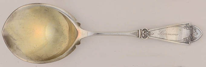 Princess (Silverplate, 1879, No Monograms) Solid Smooth Casserole Spoon