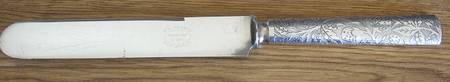 INS568 (Silverplate) Blunt Solid Knife