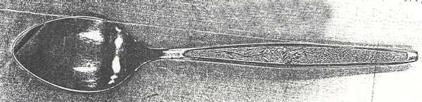 IMI113 (Stainless) Teaspoon