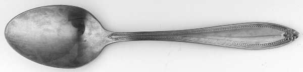 INS580 (Stainless) Tablespoon (Serving Spoon)