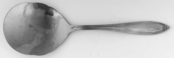 INS580 (Stainless) Solid Smooth Casserole Spoon