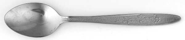 INS605 (Stainless) Teaspoon by International Silver