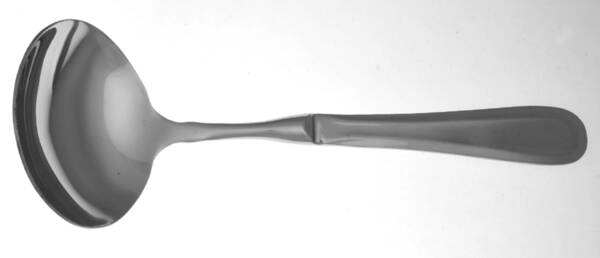 Forte (Stainless) Gravy Ladle with No Spout Stainless Bowl HC