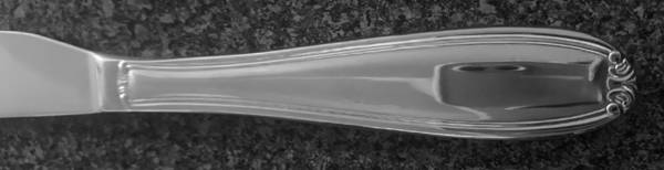 INS627 (Stainless) Modern Solid Knife