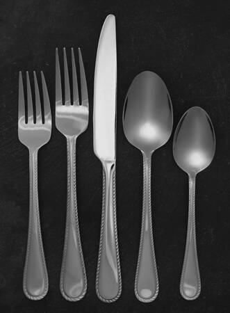 Adventure (Stainless) 5 Piece Place Setting