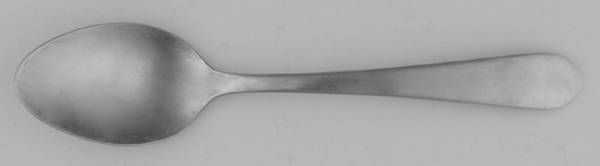 INS647 (Stainless) Teaspoon