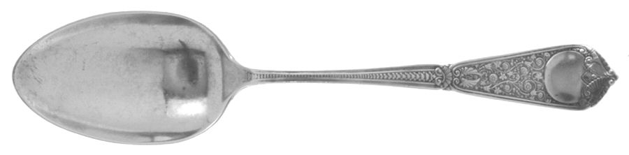 Webster (Sterling, 1882) Tablespoon (Serving Spoon)