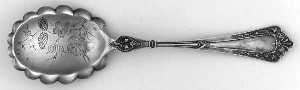 Clinton (Sterling, 1880) Sugar Shell Spoon, Bright Cut