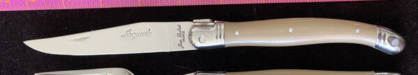 Laguiole-Mastic Taupe (Stainless) Individual Steak Knife Hollow Handle