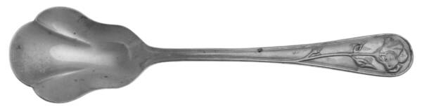 Danae (Stainless) Sugar Shell Spoon