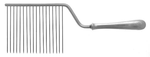 Old Maryland-Plain (Sterling, 1850) Cake Breaker with Silverplate Prongs