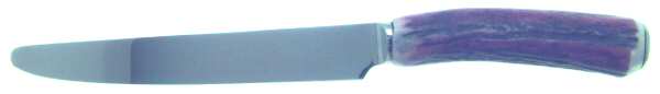 Stag (Stainless) New French Hollow Knife