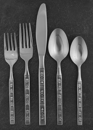 LCU11 (STAINLESS) 5 Piece Place Setting