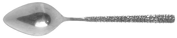 LCU2 (STAINLESS) Place/Oval Soup Spoon