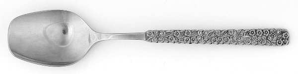 LCU2 (STAINLESS) Sugar Spoon