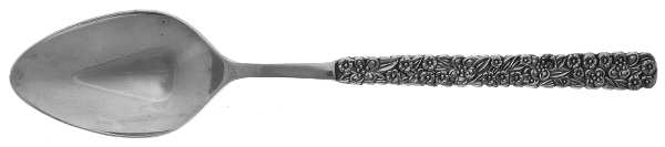 LCU2 (STAINLESS) Teaspoon
