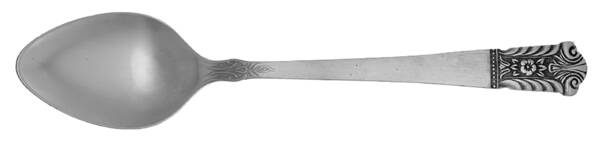 LCU32 (STAINLESS) Teaspoon
