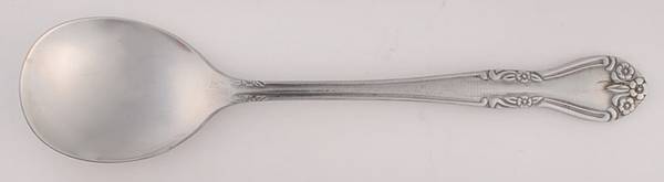 LCU44 (Stainless) Sugar Spoon