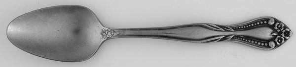 LCU9 (Stainless) Teaspoon