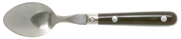 Paris Splendor-Black (Stainless) Teaspoon