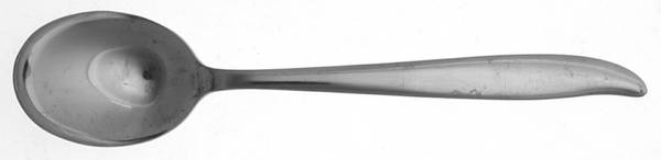 LNM2 (STAINLESS) Sugar Spoon