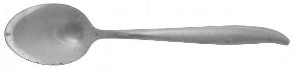 LNM2 (STAINLESS) Teaspoon