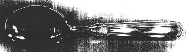 Embassy Scroll (Sterling, 1981, no monograms) Buffet Serving Spoon with Stainless Bowl