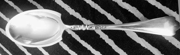 Nellie Custis (Sterling, 1915) Preserve Spoon