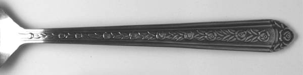 LCU59 (Stainless) by Lifetime