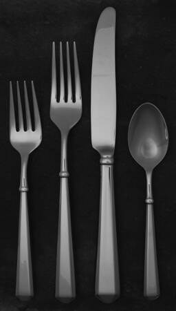 Todd Hill (Stainless) 4 Piece Place Setting