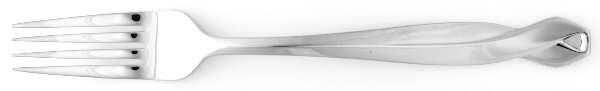 Spring Hill (Stainless) Fork